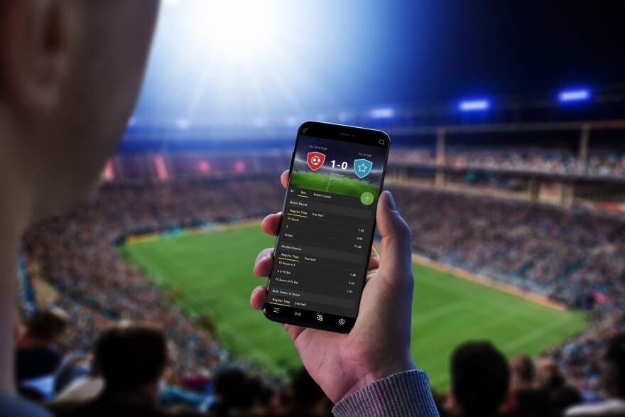 Discover the Excitement of Sports Betting with Betwinner